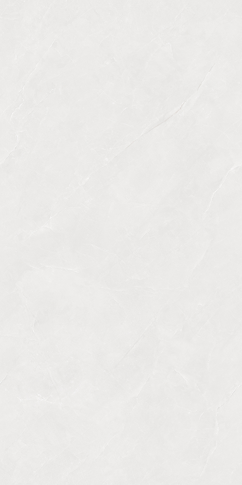 TWM48101G (2)