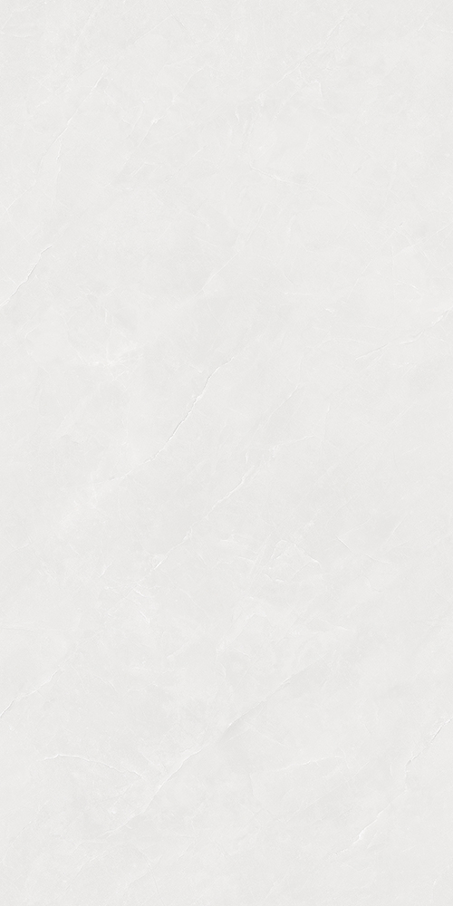 TWM48101G (1)