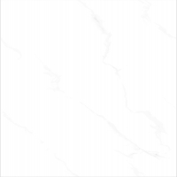 TWM612312G (4)