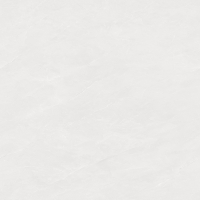 TWM48101G (1)