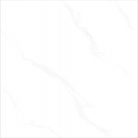 TWM612312G (1)